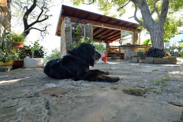 Penzion Cozy Istrian House Izola Exteriér fotografie