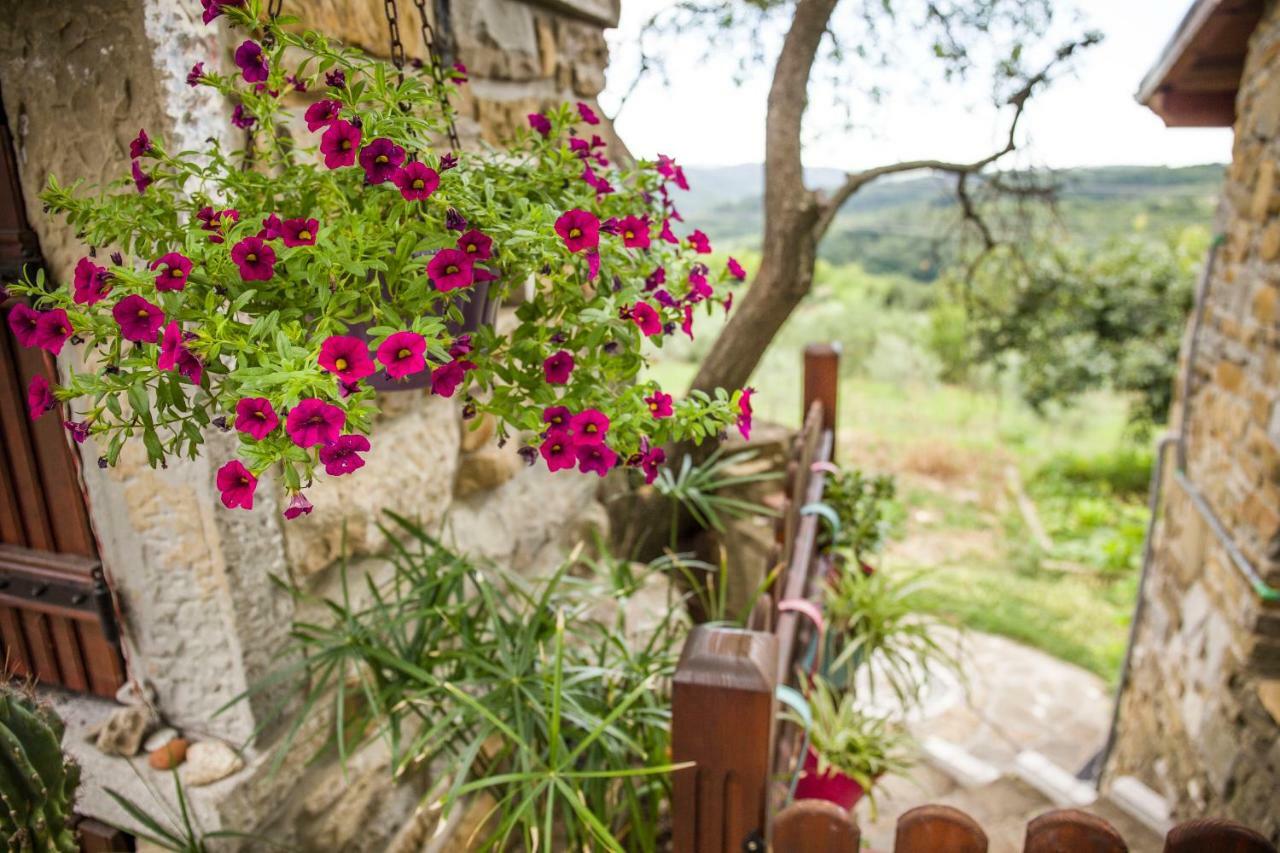 Penzion Cozy Istrian House Izola Exteriér fotografie